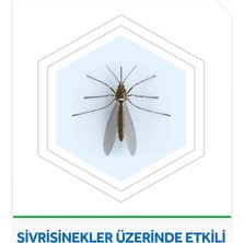 Raid Elektro Makine + Mat Tablet