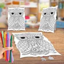 Asilmeydan Desenli Baykuş Boyama Puzzle Tablo Çocuk Eğitici Yapboz