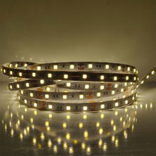 Amber LED 4040 Şerit LED Günışığı 5 Metre Yeni Nesil Yüksek Lümen