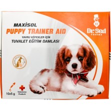 Maxisol Köpek Tuvalet Eğitim Damlası 10X5G Dr. Sed Maxisol