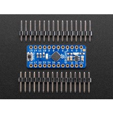 Adafruit ATSAMD09 Breakout Development Board