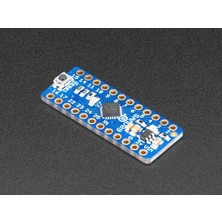 Adafruit ATSAMD09 Breakout Development Board