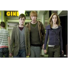 Cakatablo Ahşap Tablo  Harry Potter ve Ölüm Yadigarları Görseli