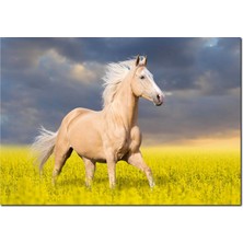 Cakatablo Ahşap Tablo Toprak Rengi At Çiçekler Arasında Koşarken Görsel