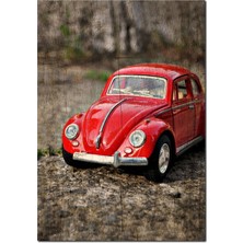 Cakatablo Ahşap Tablo Eski Zeminde Kırmizi Vosvos Görseli