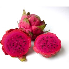 Berke Fidancılık Büyük Boy Kırmızı Pitaya Ejder Meyvesi Torbada