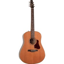 Seagull Coastline Momentum A/e Hg Elektro Akustik Gitar (Natural)