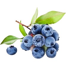 Znr Market Yaban Mersi̇ni̇ (Blueberry)Taze Dalında 1 kg