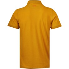 Bearraybon Erkek Polo Yaka T-Shirt
