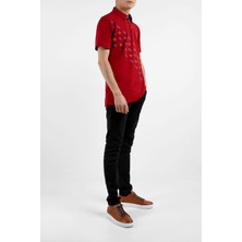 Bearraybon Erkek Polo Yaka T-Shirt