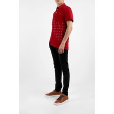 Bearraybon Erkek Polo Yaka T-Shirt