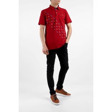 Bearraybon Erkek Polo Yaka T-Shirt