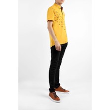 Bearraybon Erkek Polo Yaka T-Shirt