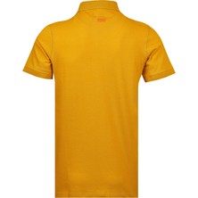 Bearraybon Erkek Polo Yaka T-Shirt