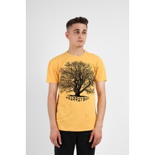 Bearraybon Erkek Sıfır Yaka T-Shirt