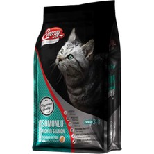 Energy Somonlu Yetişkin Kedi Maması 500 gr - 2'li