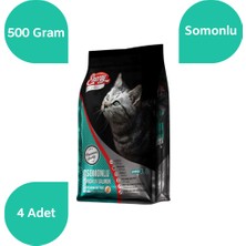 Energy Somonlu Yetişkin Kedi Maması 500 gr - 4'lü