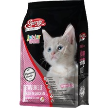 Energy Tavuklu Yavru Kedi Maması 1 kg - 4'lü