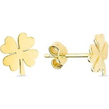 14 Ayar Altın Yonca Küpe