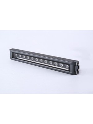 Cata CT-4695 12 Watt Duvar Boyama Amber