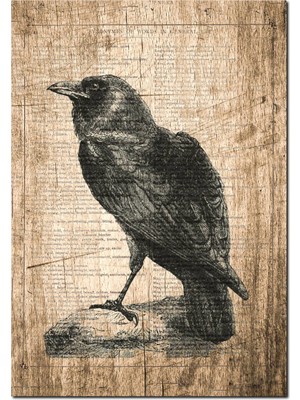 Cakatablo Ahşap Tablo Eski Mektup Zeminde Daldaki Kara Karga Görseli