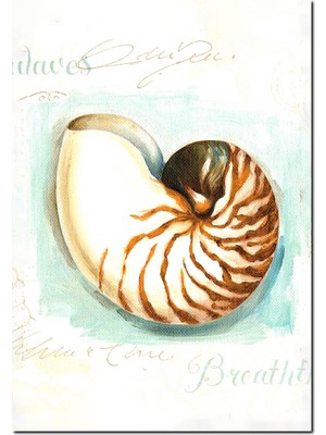 Cakatablo Ahşap Tablo Nefes Alan Deniz Kabuğu Görseli