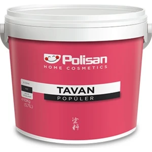 Polisan Popüler Tavan Boyası 10 kg