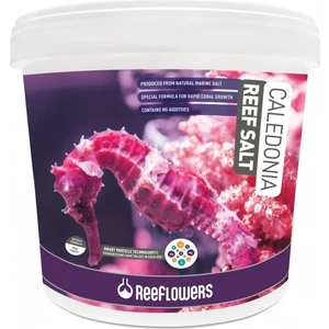 Reeflowers Caledonia Reef Salt 6,5 kg Deniz Tuzu