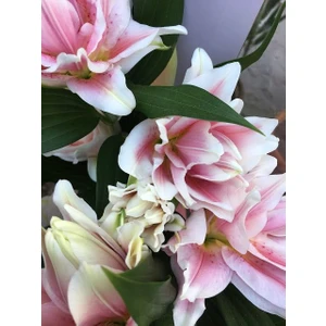 Nandina Botanik 3 Adet Katmerli Gülkurusu Kokulu Lilyum (Zambak) Çiçeği Soğanı