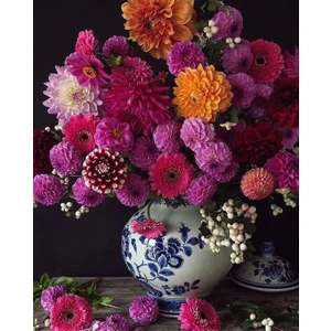 Nandina Botanik Yıldız Çiçeği Soğanı ( Dahlıa Yumrusu) 10 Adet Full Karışık