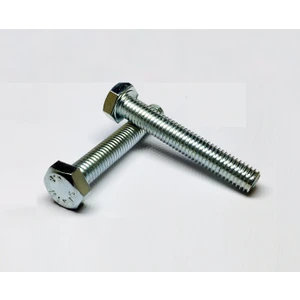 Akb Cıvata M10X100 - 50 Adet
