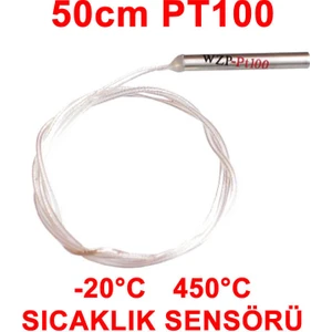 PT100 Platinyum Isı Sıcaklık Sensörü 50cm Su Geçirmez -200C to 450C Metal Koruyucu Dalgıç Prob Terml