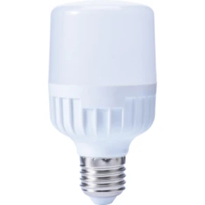 CT-4262 50W LED Ampul (Beyaz Işık) Cata