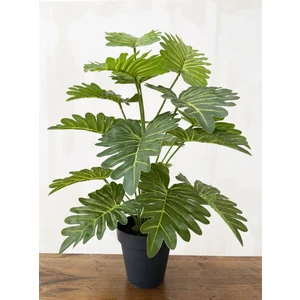 Yapay Ağaç Salon Bitkisi Syngonium 70 cm 18 Yaprak Antrasit Saksıda