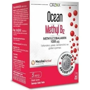 3 Kutu Ocean Methyl B12 1000 Mcg Sprey 5 ml