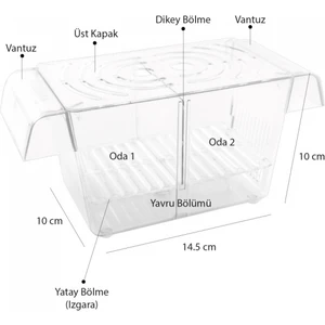 Ikili Kristal Balık Yavruluk 14,5 cm x 10 cm