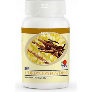 Cordyceps