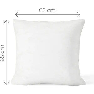 Valena Home Kaz Tüyü Kırlent Kılıfı İç Yastığı-Minder 65 x 65 cm 750 gr