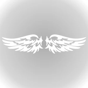 Quart Aksesuar 2'li Kanat Sticker Oto Sticker Araba Sticker