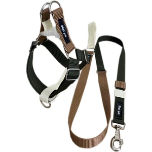 Jimi Pet Tasma Seti Medium Beden Retro İki Ayak Model