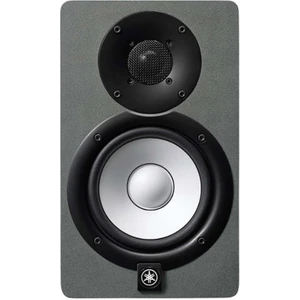 HS5SG Silver Grey Ltd. Edition Aktif Studio Referans Monitör (Tek)