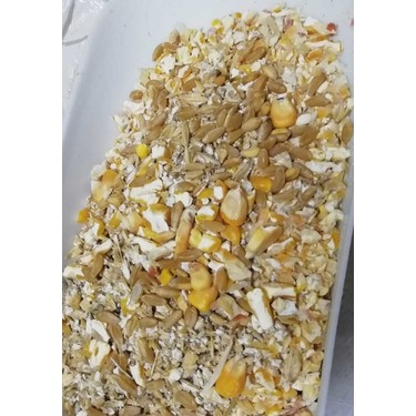 Cp 5 Kg Dogal Yem Misir Arpa Kirigi Elenmis Bugday Karisim Fiyati Cp 5 Kg Dogal Yem Misir Arpa Kirigi Elenmis Bugday Karisim Fiyati