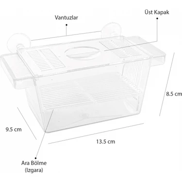 Atlantik Tekli Kristal Balık Yavruluk 13,5 cm x 8,5