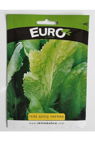 Euro Tere Tohumu 10 gr
