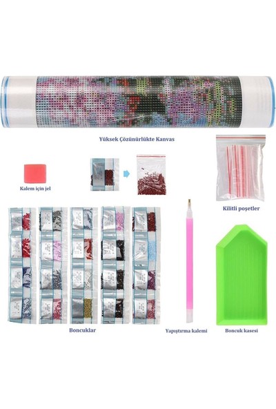 Hi Stone 5D Elmas Boncuk Taş İşleme Mozaik Goblen Kit Tablo 50 x 40 cm GC74375
