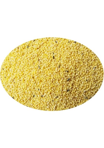 Special Kabuksuz Muhabbet Kuşu Yemi 400 Gram fiyatları