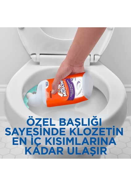 Mr Tuvalet Temizleyici Jel Lavanta 750 ml fırsatları