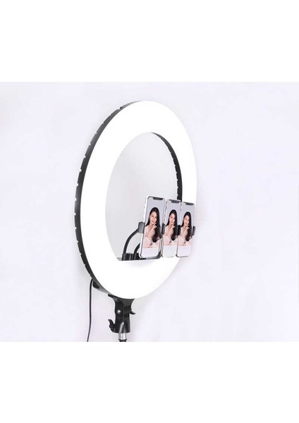Ring Light Youtuber Tictok Makyaj Işıklı Telefon Tutucu 54CM Foldable + 2.2m Tripod