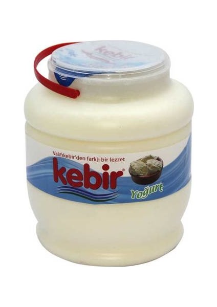 Yoğurt 2500 gr Bidon