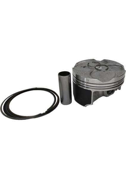 Cbr 250 R Piston Segman Takımı